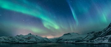 Noorderlicht boven de Lofoten tijdens de winter in Noorwegen van Sjoerd van der Wal