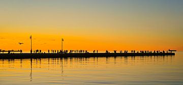 Molo Audace - Trieste