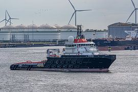 Le remorqueur de manutention d'ancre Kolga de Heerema. sur Jaap van den Berg