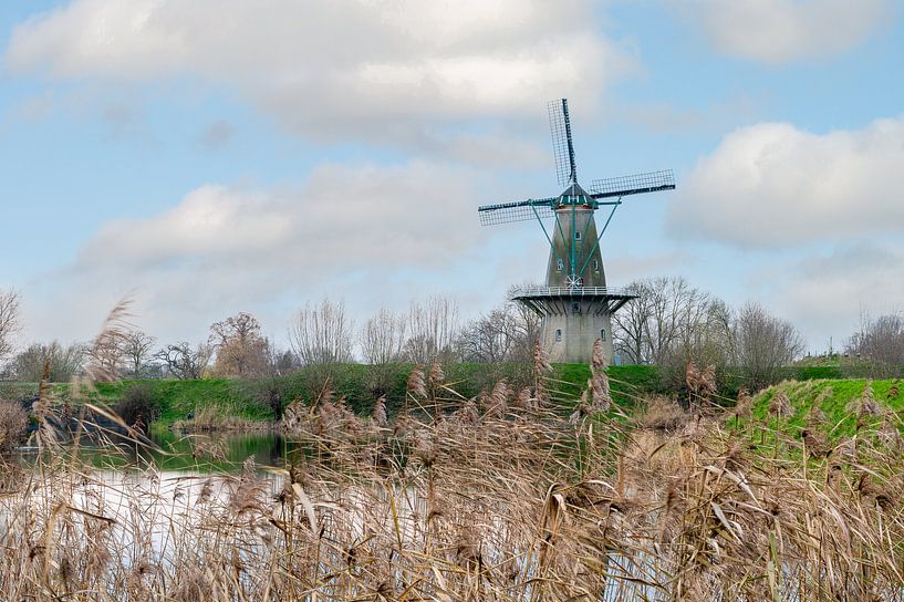 Holländische Mühle von Mark Bolijn