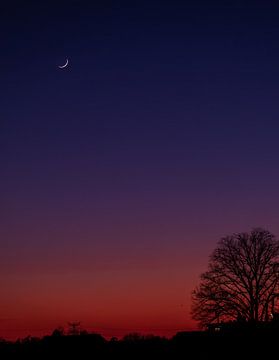 Coucher de soleil et croissant de lune sur Rene Wolf