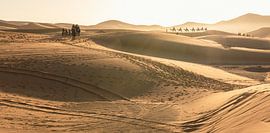 Sahara by Roy Vereijken