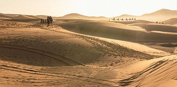 Sahara van Roy Vereijken