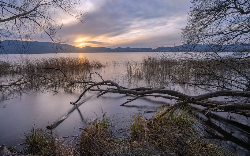 Laacher See, Rheinland Pfalz, Deutschland von Alexander Ludwig