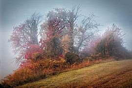 Herbstnebel