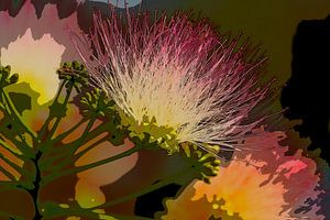 Fleur d'arbre en soie de Perse. 2