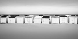 Collective Freedom von Niels Devisscher