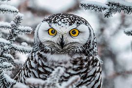 Nahaufnahme Schnee-Eule im Winter von Art & Soul Creations