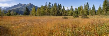 Autumn in the Upper Allgäu by Walter G. Allgöwer