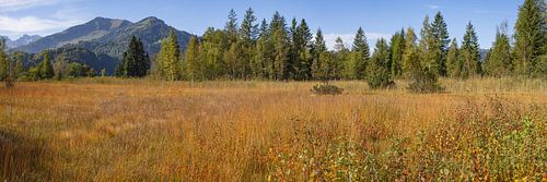 Autumn in the Upper Allgäu