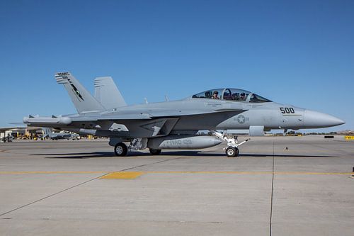 Boeing EA-18G Growler op NAS Fallon.