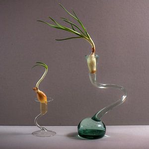 Flammende Schalotten