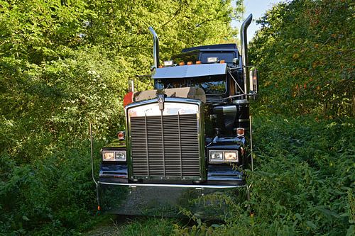 Kenworth W900B