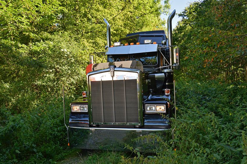 Kenworth W900B von Ingo Laue