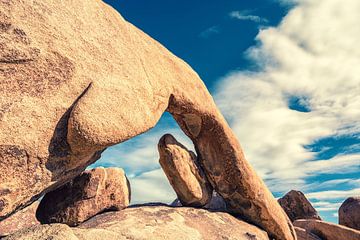 Een delicate bocht - Joshua Tree National Park van Joseph S Giacalone Photography