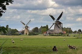 Zwei Windmühlen in Maasland von Rob Pols