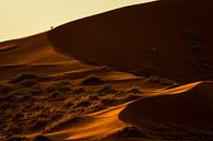 Goldene Wüste von Richard Guijt Photography Miniaturansicht