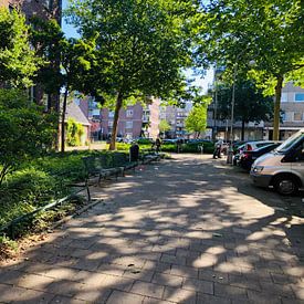 Constantijn Ridder photo de profil