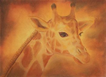 Girafe aux couleurs chaudes