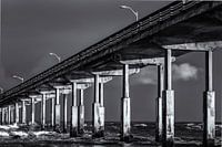 Ocean Beach Pier Monochrom