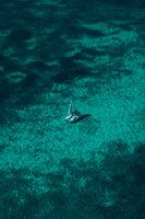catamaran dans l'eau