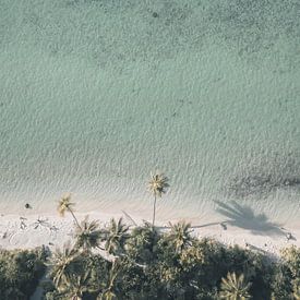 Palmiers, plage et mer | photographie de voyage | Maldives sur Kimberley Jekel
