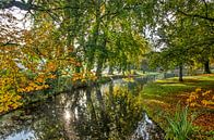 Reflection in The Park by Frans Blok - photos, art and other wall decoration thumbnail