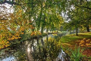 Réflexion dans le Parc