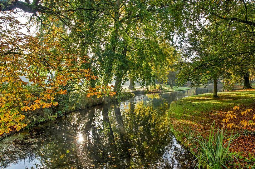 Reflection in The Park by Frans Blok - photos, art and other wall decoration