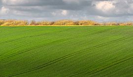 0514 Jump by Adrien Hendrickx