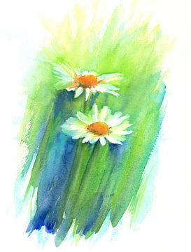 Daisy Duet Watercolour Painting by Karen Kaspar