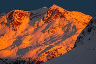 Alpenglow op de Piz Rosatsch - Graubünden - Zwitserland van Felina Photography thumbnail