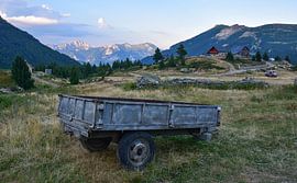 Stani i Vokshjonit, Kosovo - I sur Jarne Buttiens