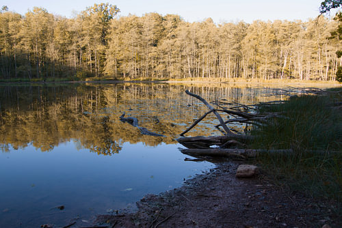 Meer in het herfstbos