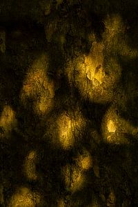 Schattenspiel