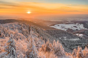 Winter evening in the Black Forest by Michael Valjak