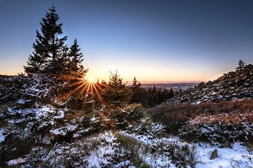 Salutations au soleil sur Steffen Henze