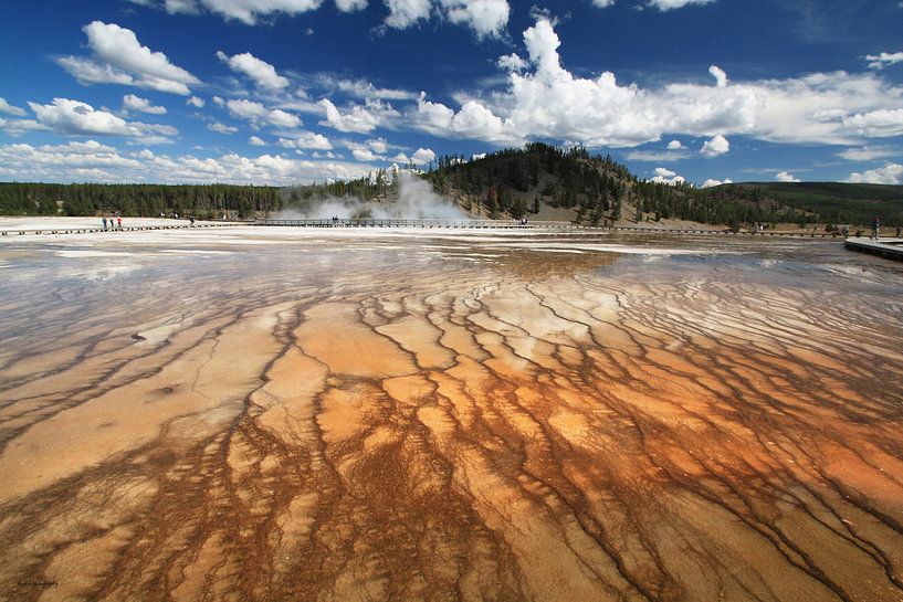 Yellowstone National Park von Gert Hilbink