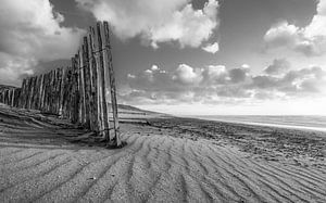 Strand, Wind und Meer in Schwarz und Weiß