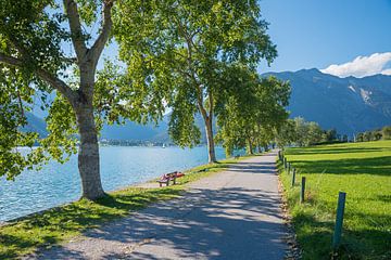 lake shore Buchau, destination touristique Achensee, spring landscap sur SusaZoom