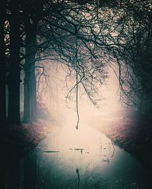 Sauts dans les fossés sur Joost Lagerweij