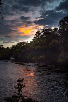 River near the island of Awarradam in Suriname by René Holtslag