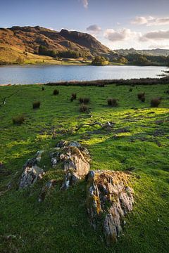 Lake District Landschaft von Frank Peters
