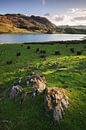 Lake District Landschap van Frank Peters thumbnail