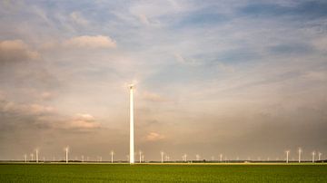 Windmühlen in Flevoland von Annemarie Hoogwoud