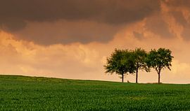 Frühling in Limburg, die Niederlande von Adelheid Smitt