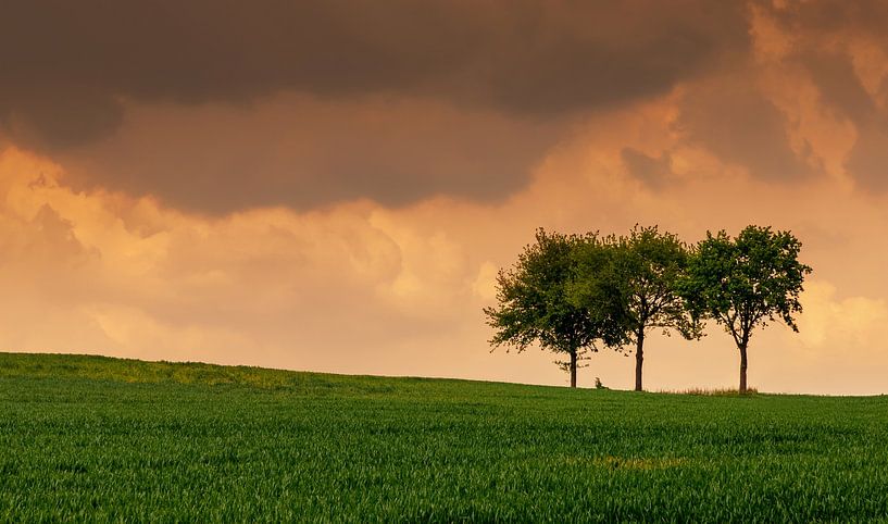 Spring in Limburg, Netherlands by Adelheid Smitt