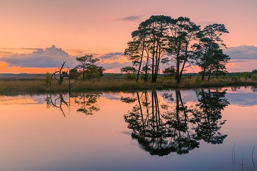 Zonsondergang bij Holtveen in Nationaal Park Dwingelderveld