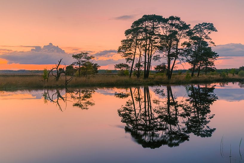 Sonnenuntergang bei Holtveen im Nationalpark Dwingelderveld von Henk Meijer Photography