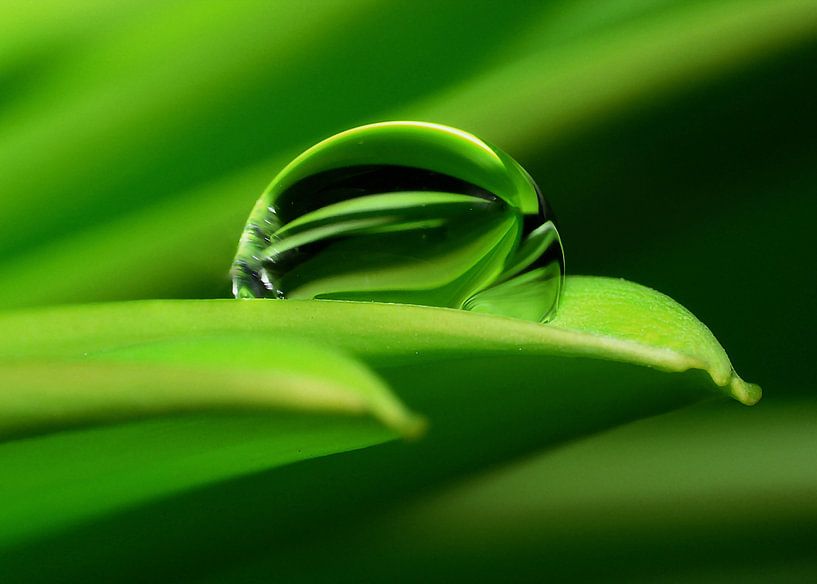 Wassertropfen von Gabi Siebenhühner
